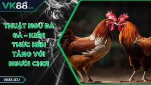 Ảnh đại diện thuật ngữ đá gà