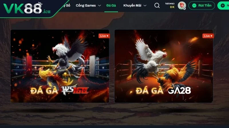 Đá Gà VK88 - Đấu Trường Đẳng Cấp Hàng Đầu Hiện Nay Giới thiệu về bộ môn đá gà VK88